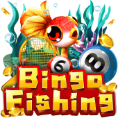 Câu Cá Bingo TT88 Team